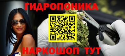 прущий лед Будённовск